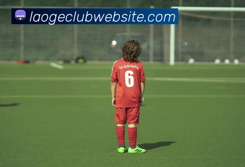 多终端兼容